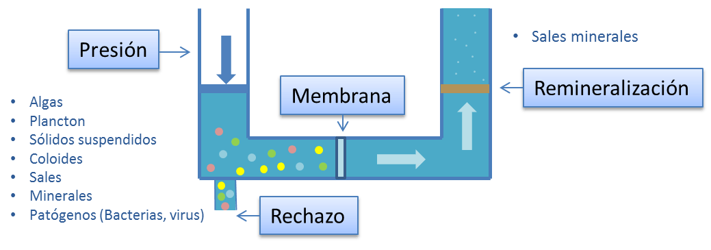 osmosis-inversa-dibujo-min